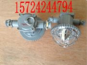 DGS18/127L18WA18WL(zhng)
