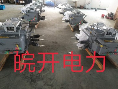 zw20-12fֽ_(ki)P(gun)Sl(f)