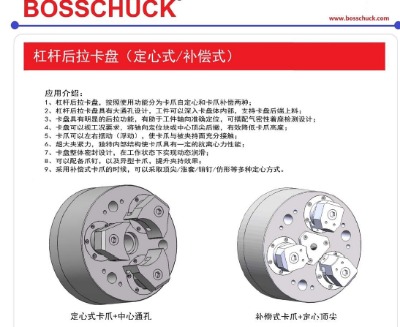 bosschuckܗUPַ֧ǘ֧־SޱB(yng)