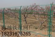 @FzW(wng)ɽW(wng)(chng)؇ھW(wng)(D)