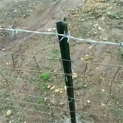 ӱ䓽zKSҹc·̾WP䓴K