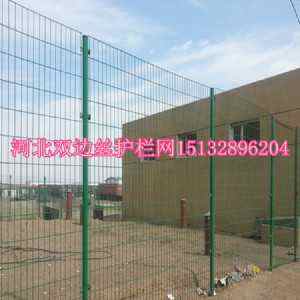 Ip߅zo(h)ھW(wng)FzW(wng)SҬF(xin)؛
