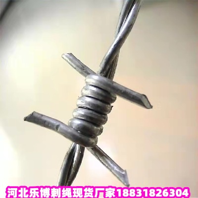 \KS(chng) 齭̾W(wng)K ׇ̾W(wng)