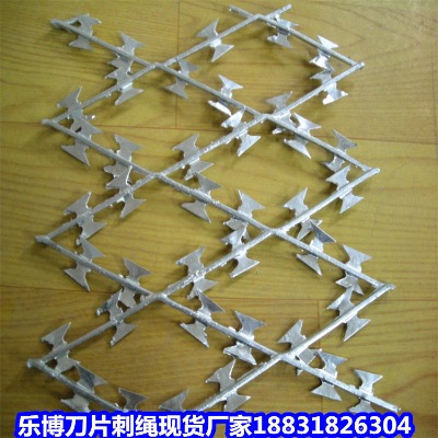 \KS (xing)ǵƬ̽zL\ L