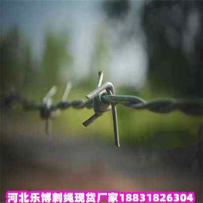 ƽ\KF(xin)؛S҃ɹŵ·B(yng)ooWؐС^(q)^