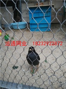 B᲻P䓾W(wng)B@P䓇ھW(wng)