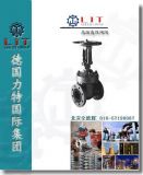 ߜظ߉ly||M(jn)ڸߜظ߉lyƷSr