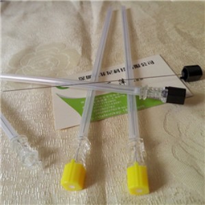 316P䓹 t(y)ëᘹ عע䴩ᘼӹBDȍu
