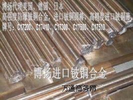 C17300~r