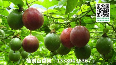 ϺУϺl(f)rNVԽϰa(chn)