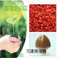 轶