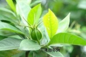 dS(yu)|(zh)ʳƷ(j)dS