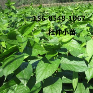 l(f)2345ֶXһ