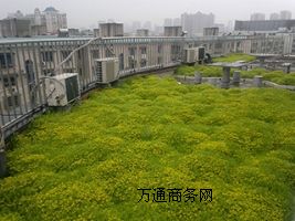 픻@e_G픾G