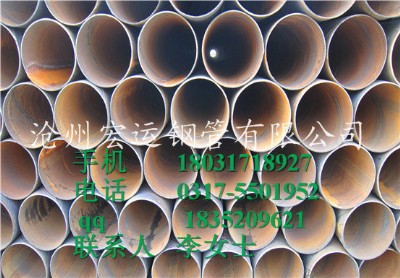 䓹܏SI(bio)5037 5040 5040(bio)971