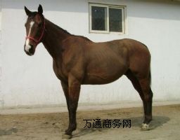 NRB(yng)ֳNRB(yng)ֳNRB(yng)ֳNRB(yng)ֳg(sh)