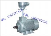 YBF3-355M1-4SL(fng)C(j)늄(dng)C(j)/L(fng)C(j)늄(dng)C(j)