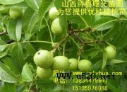 磬ƷN߮a(chn)(D)