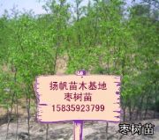 (yng)磬r(ji)ɽƷ
