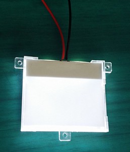 ledԴS240128cҺαԴ