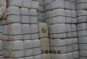(yng)g蹸 늏S蹸ɢgЕ