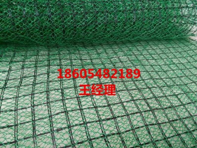 LɳSW(wng)|
