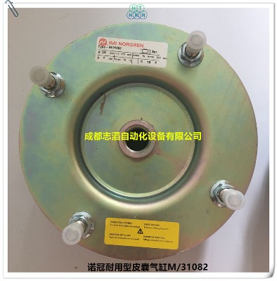 m/31082Ӣ(gu)ZƤҚ