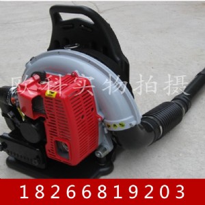 ؓСʹL(fng)C ok-160ؓʽL(fng)C