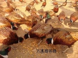 Ʒ(gu)߲ɽuҰul(f)