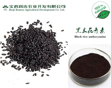 ȡﻨ25W(bio)