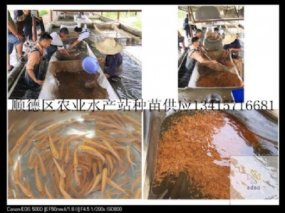 (yng)~硢_˹~~ˮ