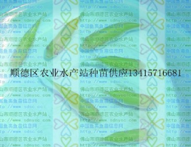 ~硢~~Ʒ