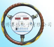 (yng)SG-310 D(zhun)򅢔(sh)y(c)ԇx
