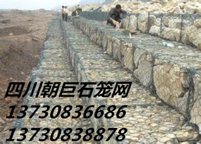 Ѵʯ\W(wng)ʯ\W(wng)Sʯ\W(wng)r\ʯ\W(wng)eW(wng)