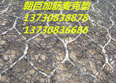 ·o(h)W(wng)ʯ\W(wng)Sʯ\W(wng)䡢eW(wng)ʯ\W(wng)l(f)