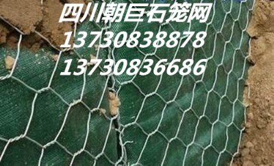 ʯ\W(wng)eW(wng)ߠʯ\W(wng)·oW(wng)ӽˉ|l(f)