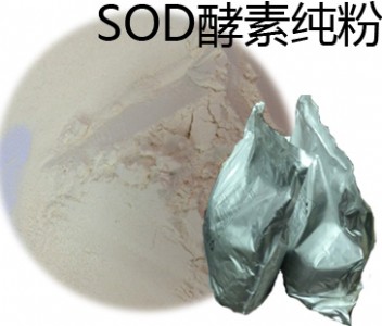 _MSODؼ