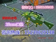 ΘڏS͙C(j)P(gun)ߚڃr(ji)