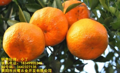 ҊrҊl(f)Ҋc