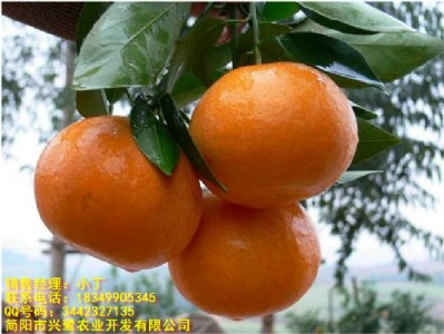 ŰҊ(jin)r(ji)ŰҊ(jin)l(f)ŰҊ(jin)c(din)