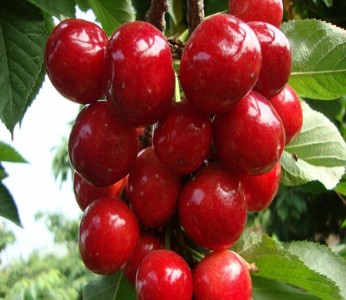܇a