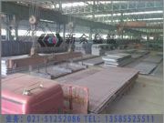 SA387Cr22CL2/SA387Cr11偠t
