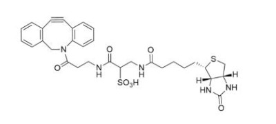 ws dbco-biotin1363444-70-5-h(hun)Ȳ-