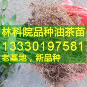 Ͳr(ji),,Ͳ(sh)X(qin)һ