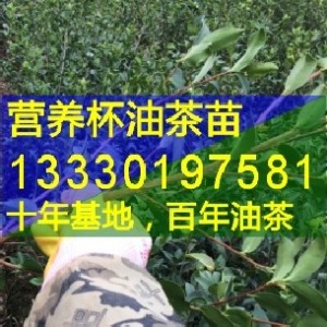 Ĵe޽Ͳ,Ϫ,,L(zhng),߿h߮a(chn)Ͳ(sh)r(ji)