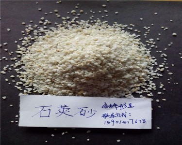 _(ti)10-20ĿʯӢɰ̬F(xin)؛ֱN(xio)