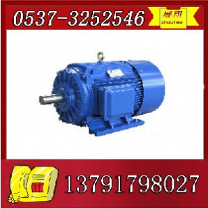 ybk2-112m-6늙C(j)u(mi)r(ji)
