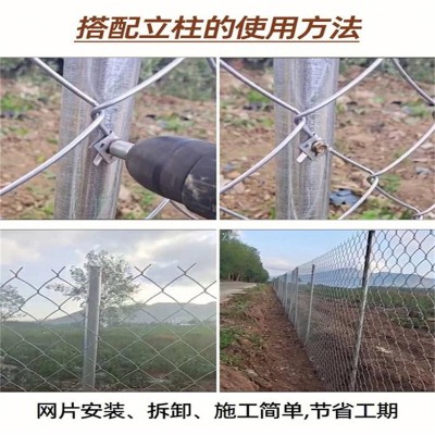 ӱB(yng)ֳFzW(wng)SꖌW(xu)УوoW(wng)ꖌW(xu)Уw