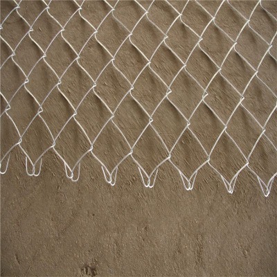 8mmְzoھWͿWP䓹W