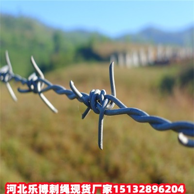 ˮKF(xin)؛SҼֵ·B(yng)o䓽zW(wng)R·B(yng)oFzW(wng)